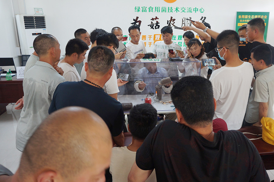学习各类食用菌的接种操作技术2