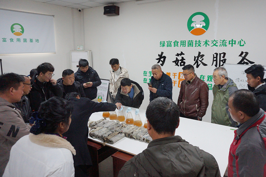 学习三角瓶液体菌种制作技术1