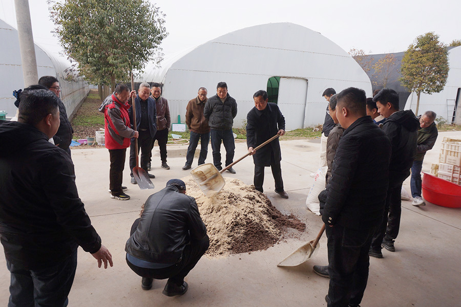 学习菌种培养料拌制技术1