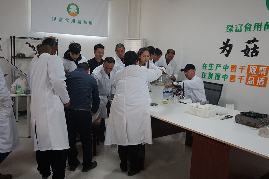 学习食用菌一级菌种制作技术1