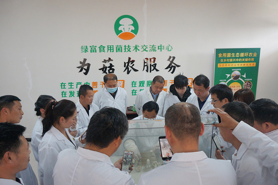 学习食用菌一级菌种制作技术2