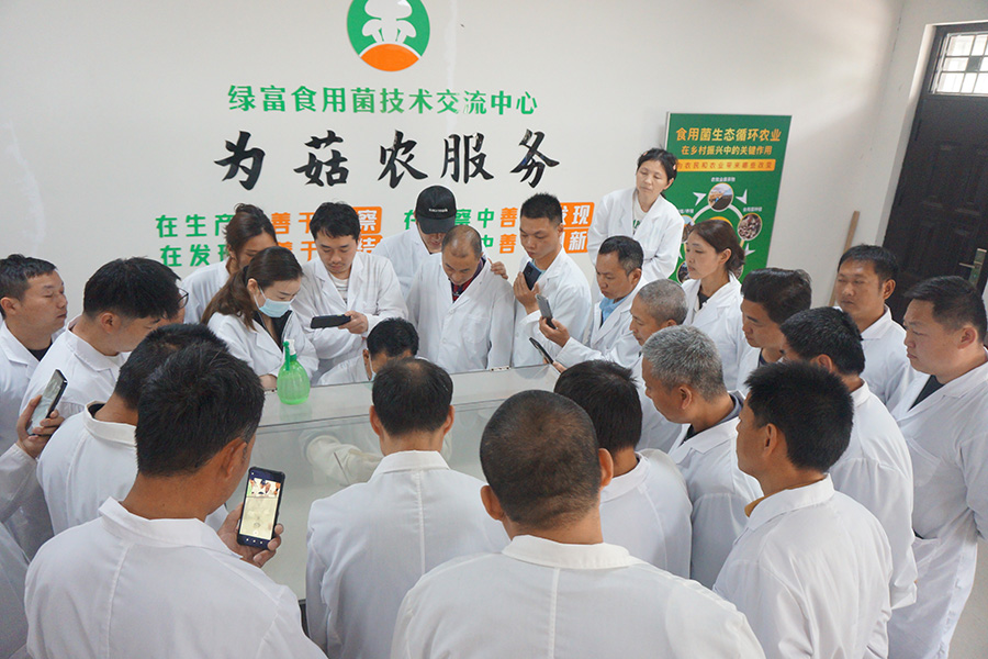 学习食用菌一二级菌种接种技术1