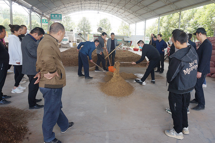 学习羊肚菌菌种制作技术1