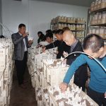 学习闲置房屋筐栽种植食用菌技术1