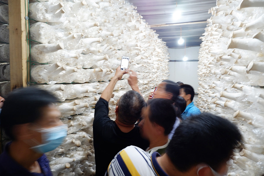 进入工厂车间学习食用菌工厂化技术2