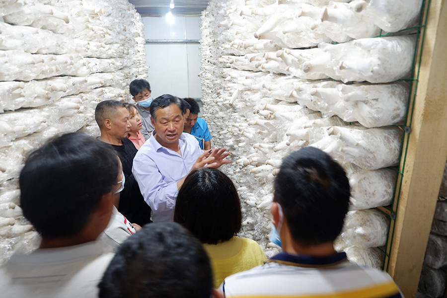 进入工厂车间学习食用菌工厂化技术3