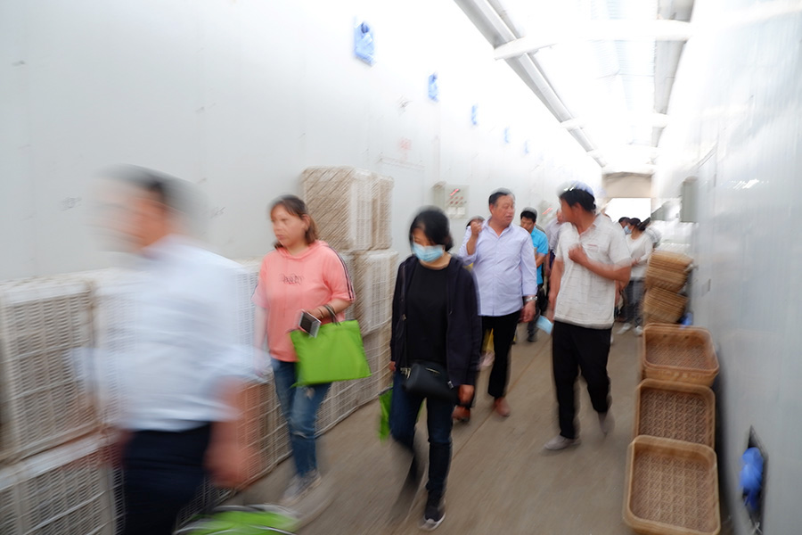 进入工厂车间学习食用菌工厂化技术1