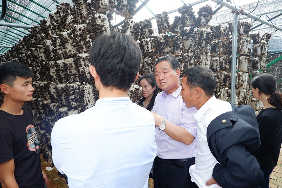 学习黑木耳规模化种植大棚建设与管理技术1