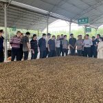 学习大规模生产食用菌培养料配制与指标检查2